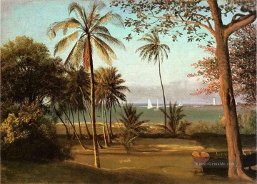 Florida Szene Albert Bierstadt Ölgemälde